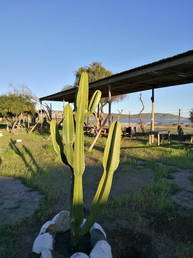 Cabanas Y Camping Mar Azul Guanaqueros Exterior photo