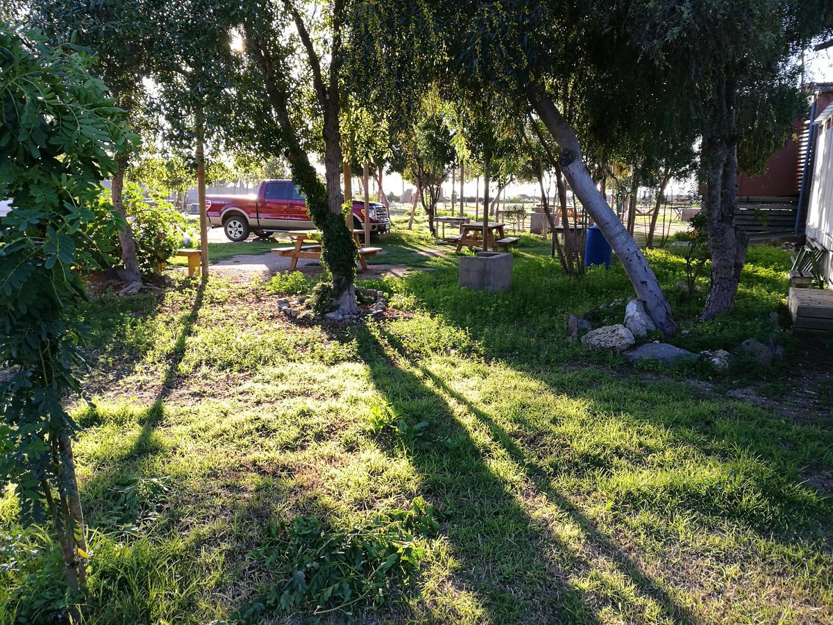 Cabanas Y Camping Mar Azul Guanaqueros Exterior photo